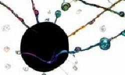 Featured image of post the teacher in complexity