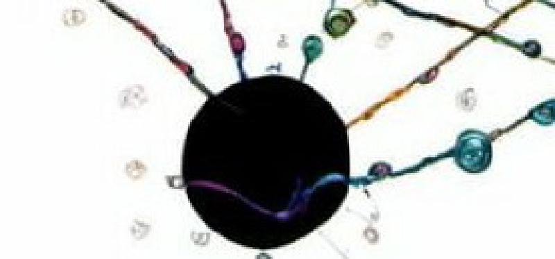 Featured image of post the teacher in complexity
